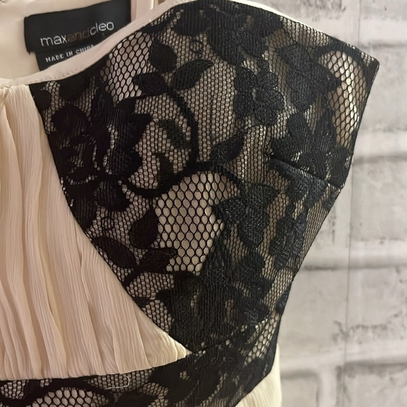 Max and Cleo by BCBG size 2 sleeveless cocktail/wedding chiffon and lace - Picture 4 of 8